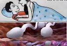 Studies1 reveal that swallowing your partner’s semen…Read More